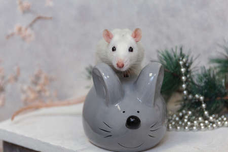 New Year rat and artificial gray mouseの写真素材