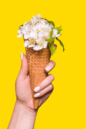 Ice cream made of flowers in a waffle cone is held by a young woman on a yellow backgroundの写真素材