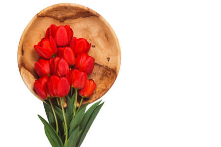 Red tulips with leaves lie on a wooden plate on a white background, horizontal with copy spaceの写真素材