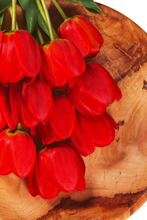 Red tulips lie on a wooden plate on a white background, close-upの写真素材