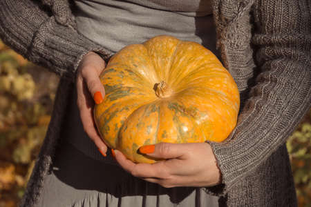A woman holds a ripe orange round pumpkin in her handsの写真素材