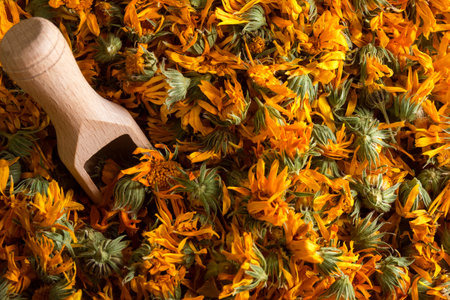 Dried calendula herb flowers. Calendula broth improves healthの写真素材
