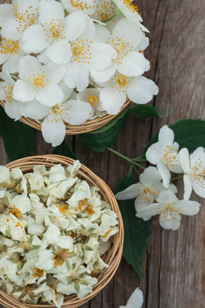 Top view of fresh picking and dried white jasmine flowers on a wooden backgroundの写真素材