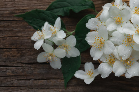 White jasmine flowers on a wooden background for making teaの写真素材