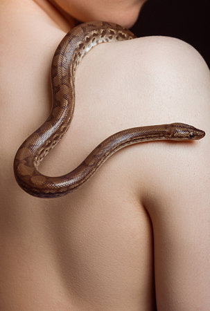 A woman with a pet snake. A rainbow boa crawls over a woman shoulderの写真素材
