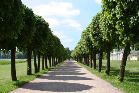 Alley at the museum-estate Kuskovo, monument of the 18th century. Moscow, Russia.の写真素材