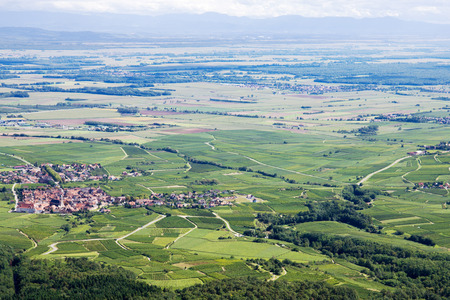 Panoramic aerial view the Upper Rhine plain in Alsace, France. View of the plain from the mountain on which the Haut-Koenigsbourg castle is locatedの写真素材