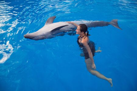 Happy beautiful young girl laughs and swims with dolphins in blue swimming pool on sunny dayの写真素材