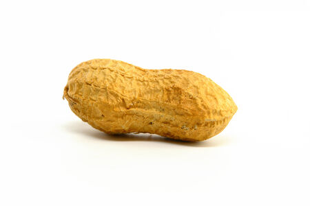 Single Peanut