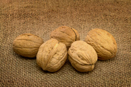 Walnutsの写真素材