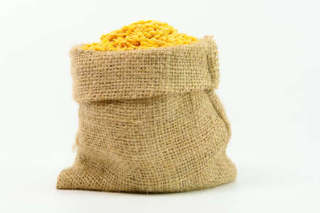 Yellow Lentils in gunny bag on white backgroundの写真素材