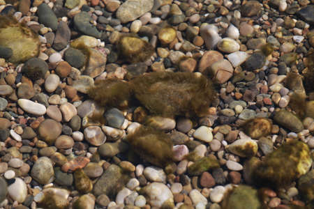 small sea pebbles in the water. Smooth stonesの写真素材