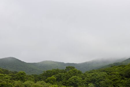 Hills in a fog near to the sea coast
