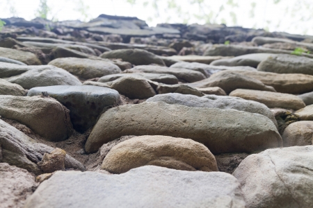 Ancient stone wall in an environment of greens and in a fog