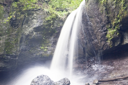 Falls in the morning wood on the small small riverの写真素材