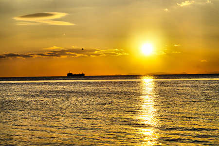 Sea landscape in beams of the coming sun