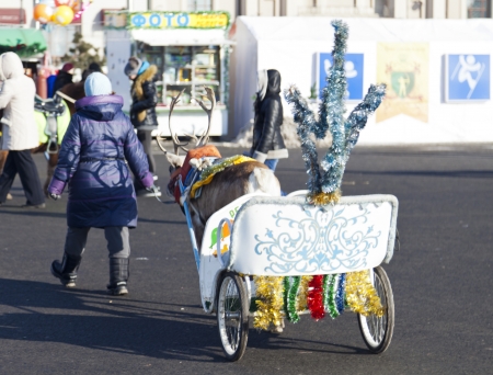 The reindeer is dressed beautifully up waiting for Santa Clausのeditorial素材
