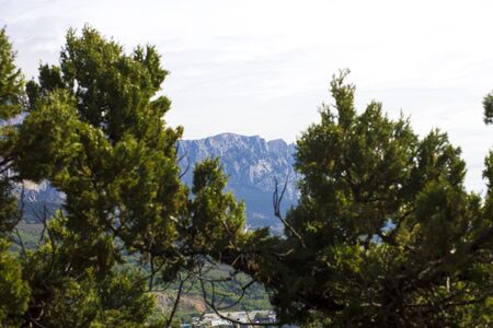 Mountains majestically tower it is necessary to all in the afternoon
