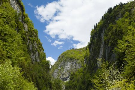 Mountains in the woods and snow are surrounded with cloudsの写真素材