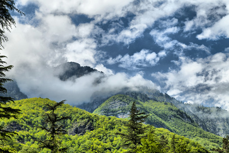Mountains in the woods and snow are surrounded with clouds