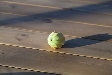 Little squash on the table forgotten when harvestedの写真素材