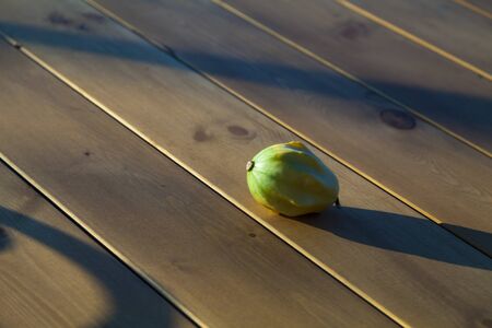 Little squash on the table forgotten when harvested