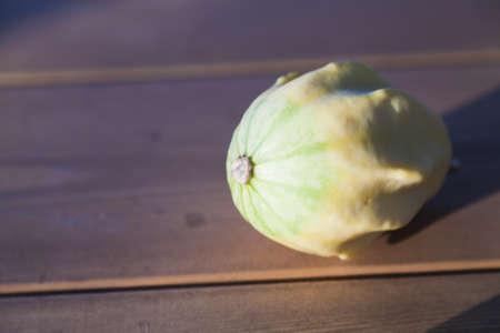 Little squash on the table forgotten when harvestedの写真素材