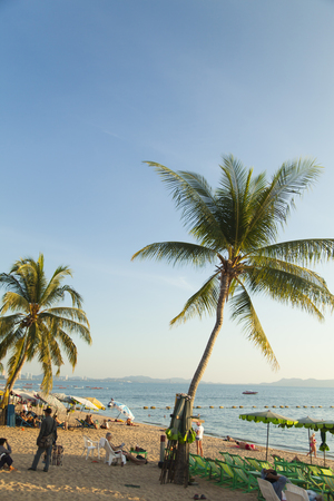 Palm trees grow on pleasure to the people having a rest and bathing ashoreのeditorial素材