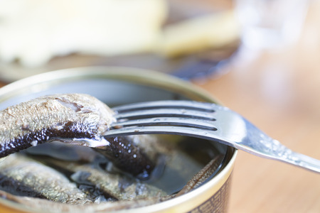 The fork and canned food are prepared for snack of alcoholの写真素材