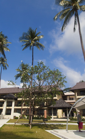 The beautiful look in tropics creates excellent moodのeditorial素材