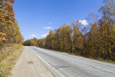 The beautiful autumn wood pleases people with different paintsの写真素材