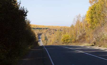 The beautiful autumn wood pleases people with different paintsの写真素材