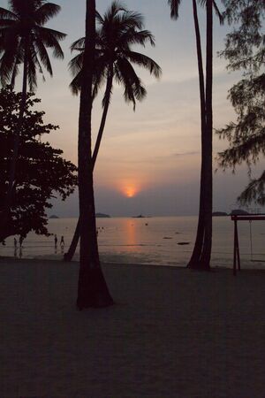 Beautiful tropical sunset calls to come here againの写真素材