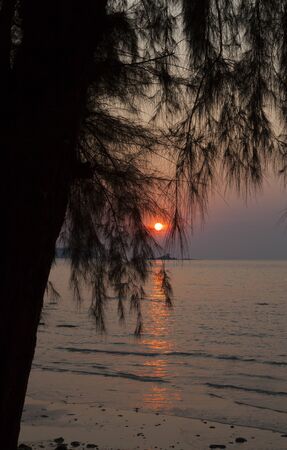 Beautiful tropical sunset calls to come here againの写真素材