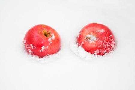 Two red apples lying on the snow の写真素材