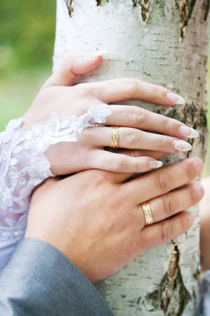 Hands of bride and groom on the backdrop of a tree の写真素材