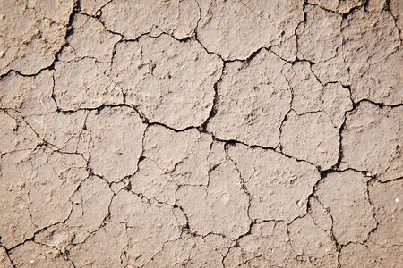 Texture of the cracked, empty, dry land