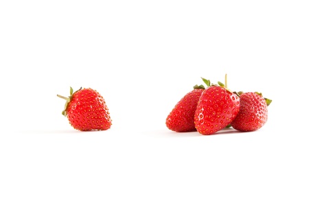 Background of ripe strawberries on whiteの写真素材