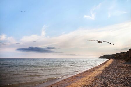 Black Sea coast in summerの写真素材