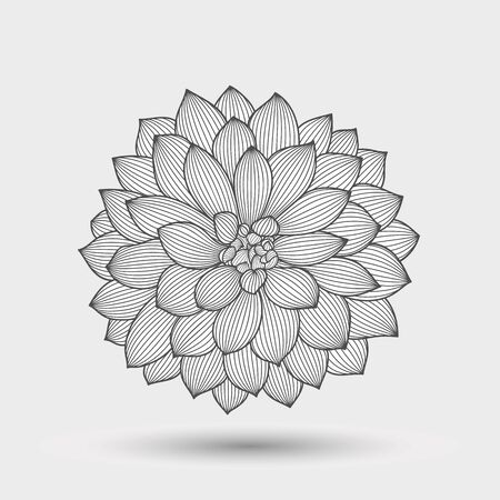Abstract monochrome floral background. Hand drawing flower dahlia. Element for designのイラスト素材