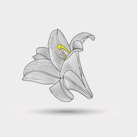 Abstract floral background. Hand drawing flower lily .Element for designのイラスト素材