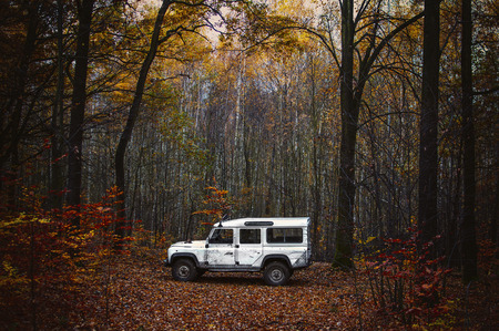 White offroad car staning in the forest in augustの写真素材