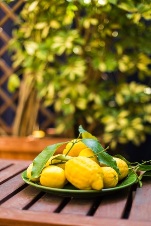 Lemons with leaves in a green bowl on a wooden table on a background of greenery on the terraceの写真素材