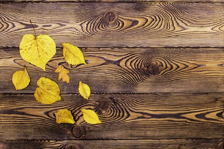 Autumn leaves border on the background of old woodenの写真素材