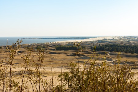 Nature of Latvia. The dune covered with grass on the seashore of the Gulf of Rigaの写真素材