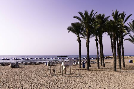 Villajoyosa, Costa Blanca, Spain - July 3, 2018: Palm tree beachのeditorial素材