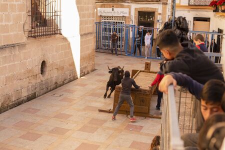 A bull chases a guy down the street during the celebration of St. Sebastian in front of residents and tourists.のeditorial素材