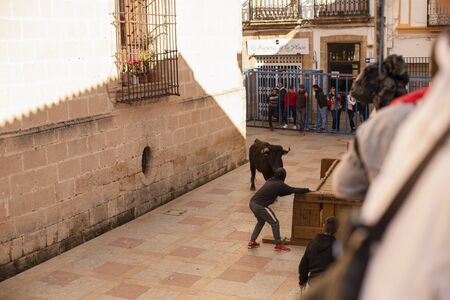 A bull chases a guy down the street during the celebration of St. Sebastian in front of residents and tourists.のeditorial素材