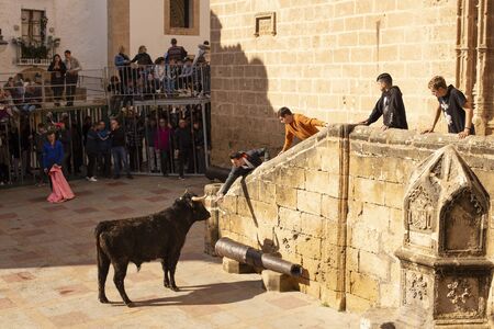 A bull chases a guy down the street during the celebration of St. Sebastian in front of residents and tourists.のeditorial素材