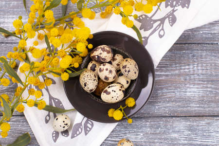 Easter quail eggs in a ceramic bowl and spring mimosa flowers on a wooden gray background. Country style. Flat lay. Place for textの写真素材
